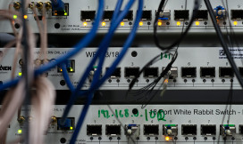 White rabbit switches
